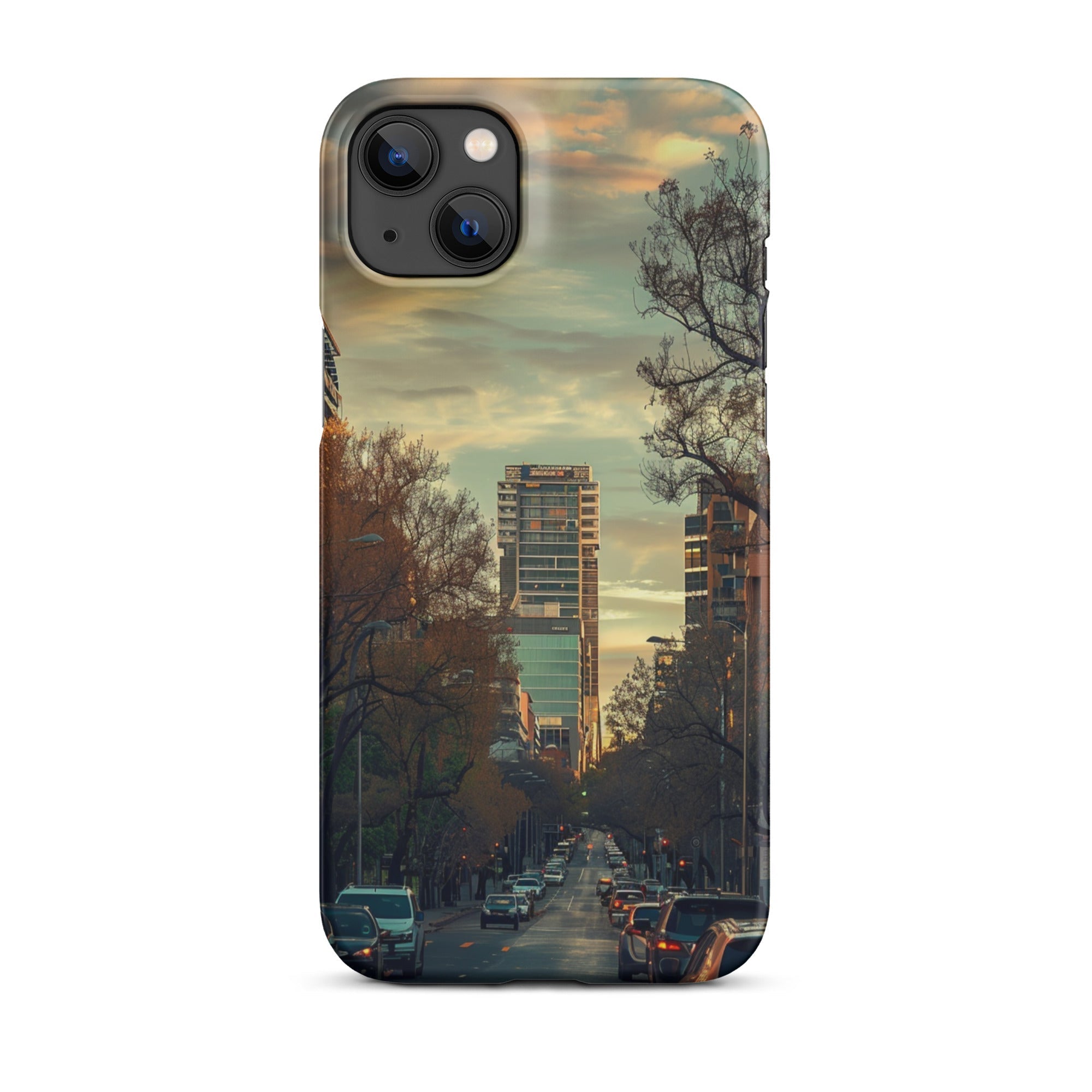 Adelaide Phone case for iPhone